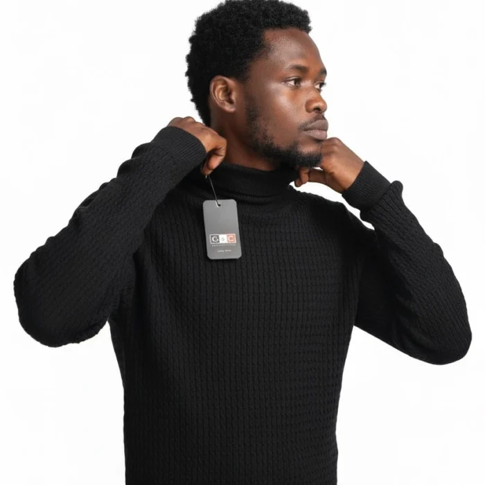 Pulls à col roulé CE & CE